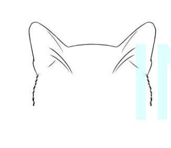 Custom Pet Sweatshirts + Tee